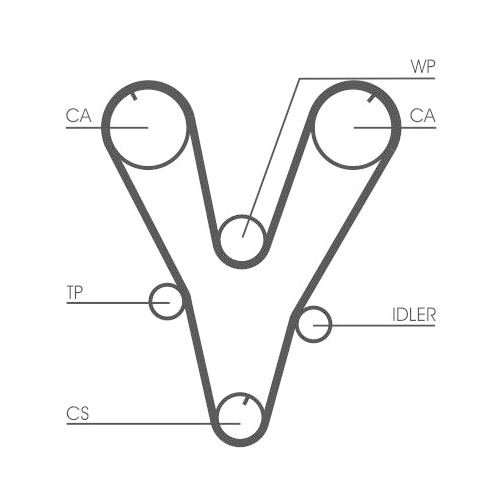 CONTINENTAL CTAM Zahnriemen