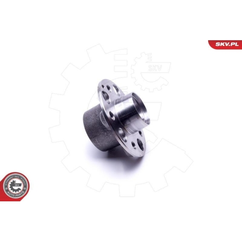 ESEN SKV Radlagersatz