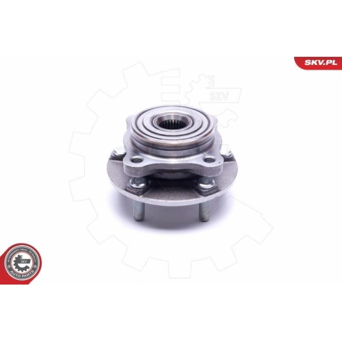 ESEN SKV Radlagersatz