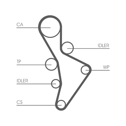 CONTINENTAL CTAM Zahnriemen