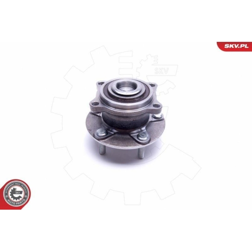 ESEN SKV Radlagersatz