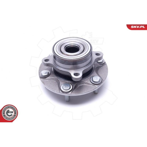 ESEN SKV Radlagersatz