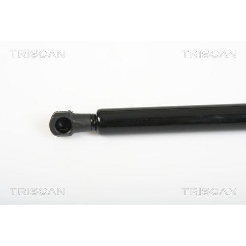 TRISCAN Gasfeder, Heckscheibe