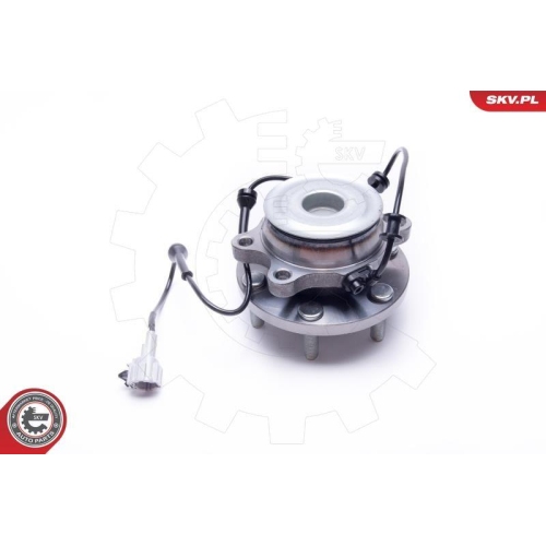 ESEN SKV Radlagersatz