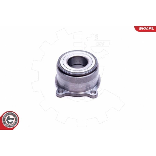 ESEN SKV Radlagersatz