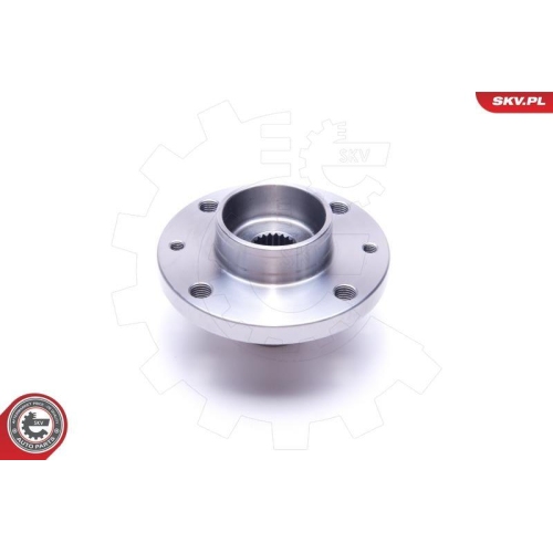 ESEN SKV Radlagersatz