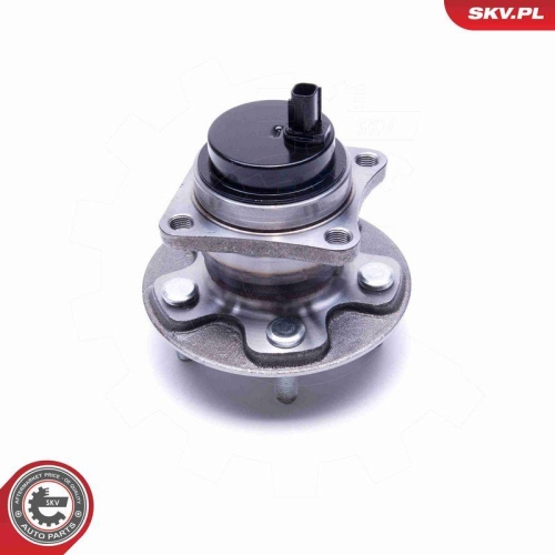 ESEN SKV Radlagersatz