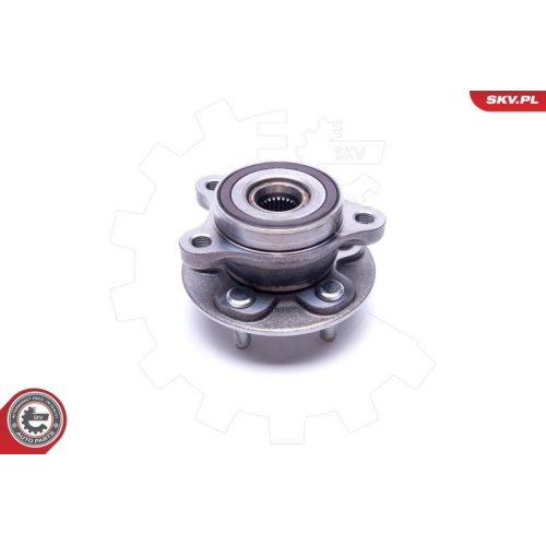 ESEN SKV Radlagersatz