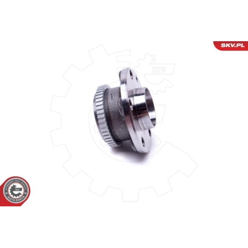 ESEN SKV Radlagersatz