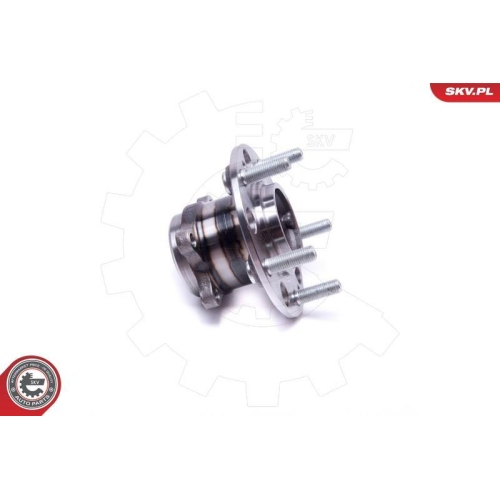 ESEN SKV Radlagersatz