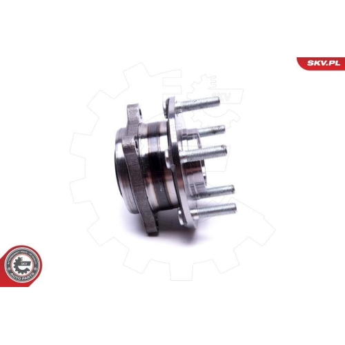 ESEN SKV Radlagersatz