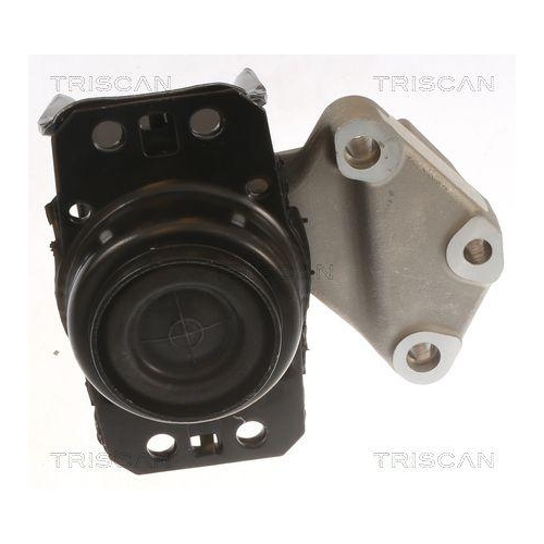 TRISCAN Lagerung, Motor