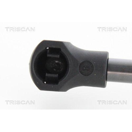 TRISCAN Gasfeder, Koffer-/Laderaum