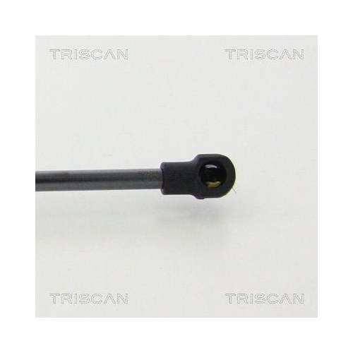 TRISCAN Gasfeder, Heckscheibe