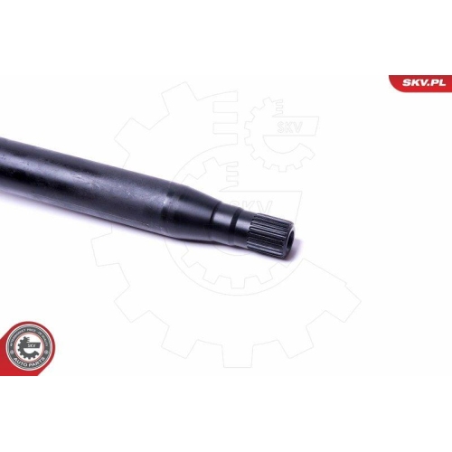 ESEN SKV Radlagersatz