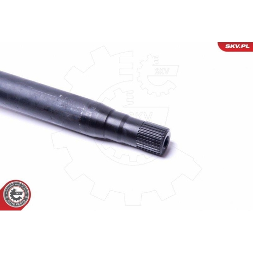 ESEN SKV Radlagersatz