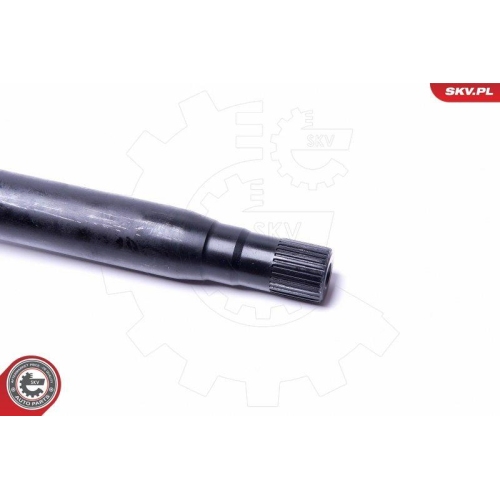 ESEN SKV Radlagersatz