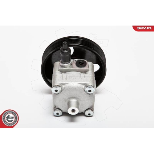 ESEN SKV Hydraulikpumpe, Lenkung