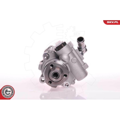 ESEN SKV Hydraulikpumpe, Lenkung