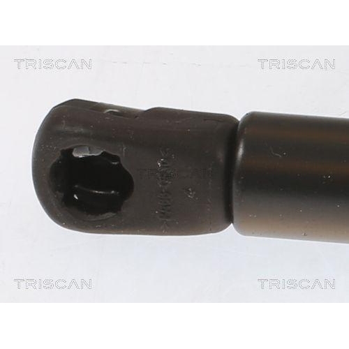 TRISCAN Gasfeder, Koffer-/Laderaum
