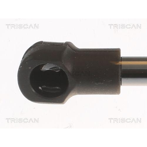 TRISCAN Gasfeder, Koffer-/Laderaum
