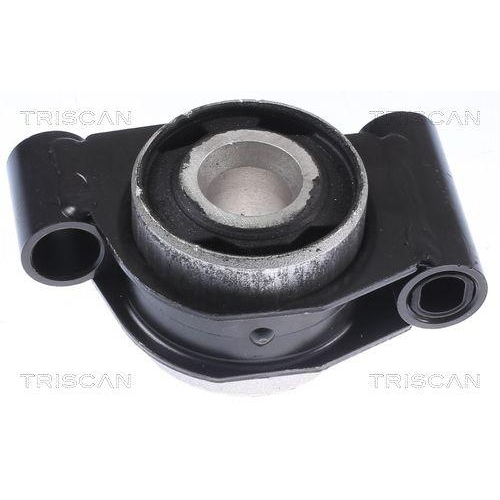 TRISCAN Lagerung, Lenker