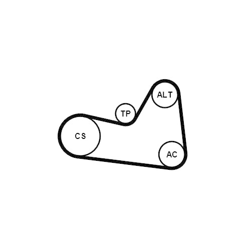 CONTINENTAL CTAM Keilrippenriemensatz