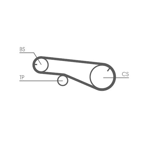CONTINENTAL CTAM Zahnriemen