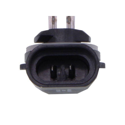 MAXGEAR Gl&uuml;hlampe, Hauptscheinwerfer