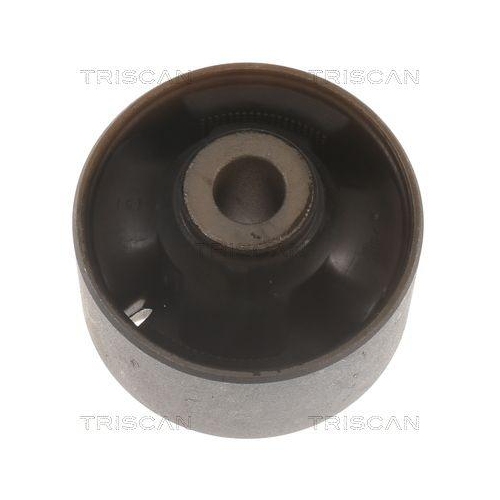 TRISCAN Lagerung, Lenker