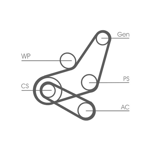 CONTINENTAL CTAM Keilrippenriemensatz