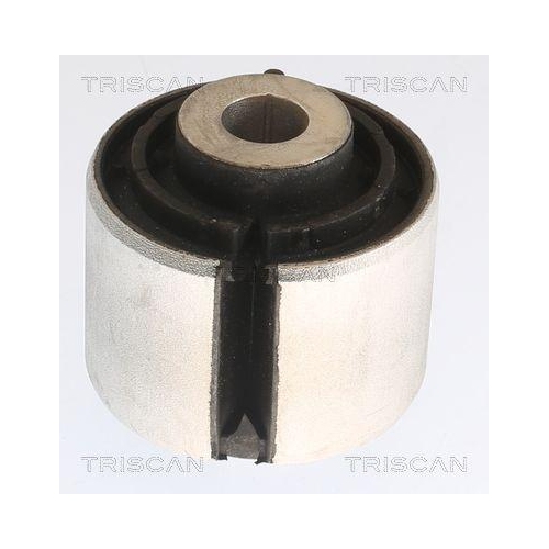 TRISCAN Lagerung, Lenker