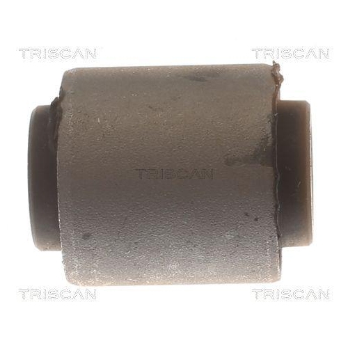 TRISCAN Lagerung, Lenker