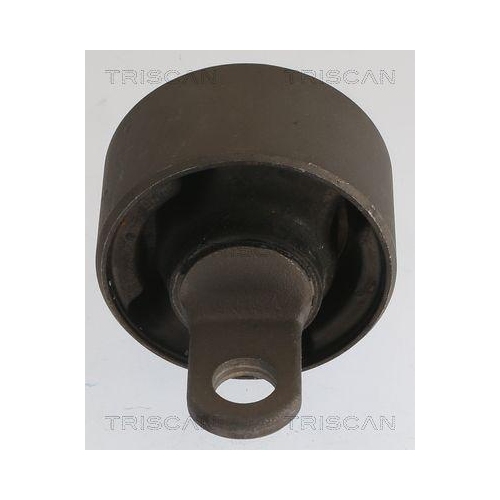 TRISCAN Lagerung, Lenker