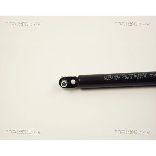 TRISCAN Gasfeder, Koffer-/Laderaum