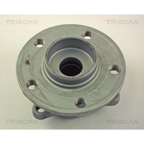 TRISCAN Radlagersatz