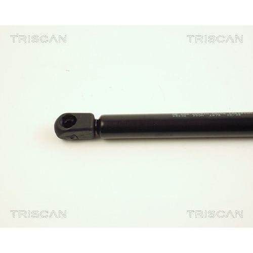 TRISCAN Gasfeder, Koffer-/Laderaum