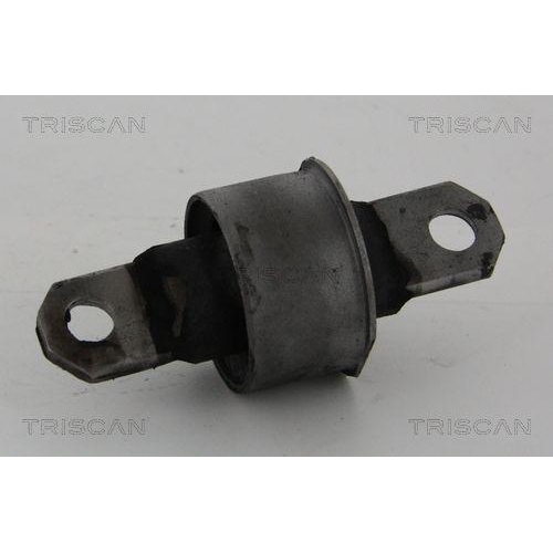 TRISCAN Lagerung, Lenker