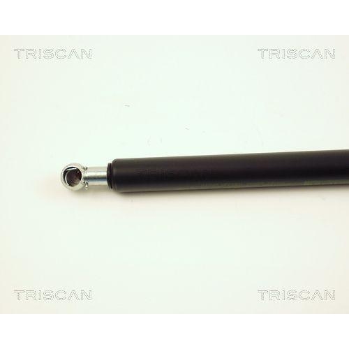 TRISCAN Gasfeder, Koffer-/Laderaum