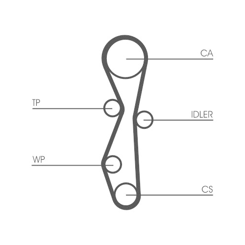 CONTINENTAL CTAM Zahnriemen