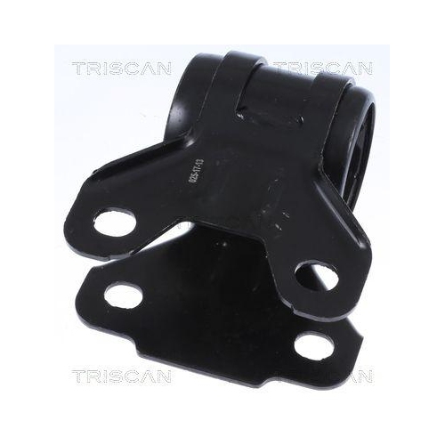 TRISCAN Lagerung, Lenker