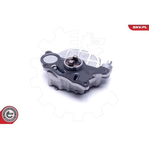 ESEN SKV Unterdruckpumpe, Bremsanlage