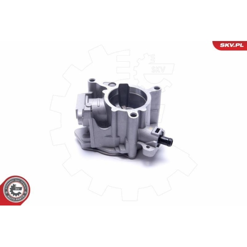 ESEN SKV Unterdruckpumpe, Bremsanlage