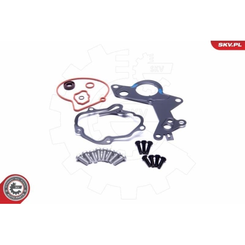 ESEN SKV Reparatursatz, Unterdruckpumpe (Bremsanlage)