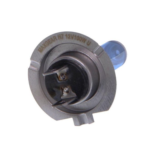 MAXGEAR Glühlampe, Hauptscheinwerfer