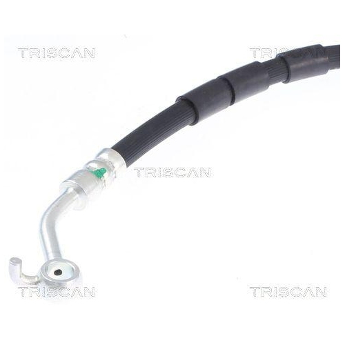 TRISCAN Bremsschlauch