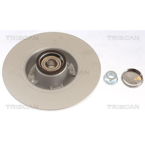 TRISCAN Bremsscheibe COATED
