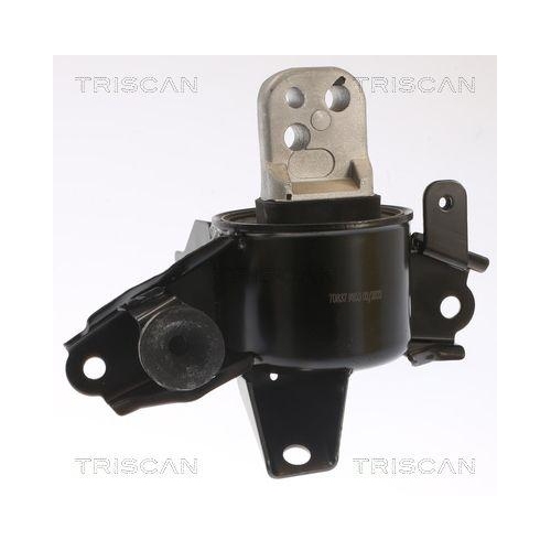 TRISCAN Lagerung, Motor