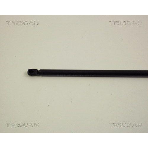 TRISCAN Gasfeder, Motorhaube