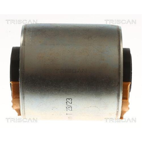 TRISCAN Lagerung, Lenker